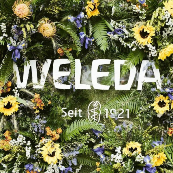 Weleda Calendula Diaper Cream 2.8 oz shown amid bright flowers with WELEDA logo.