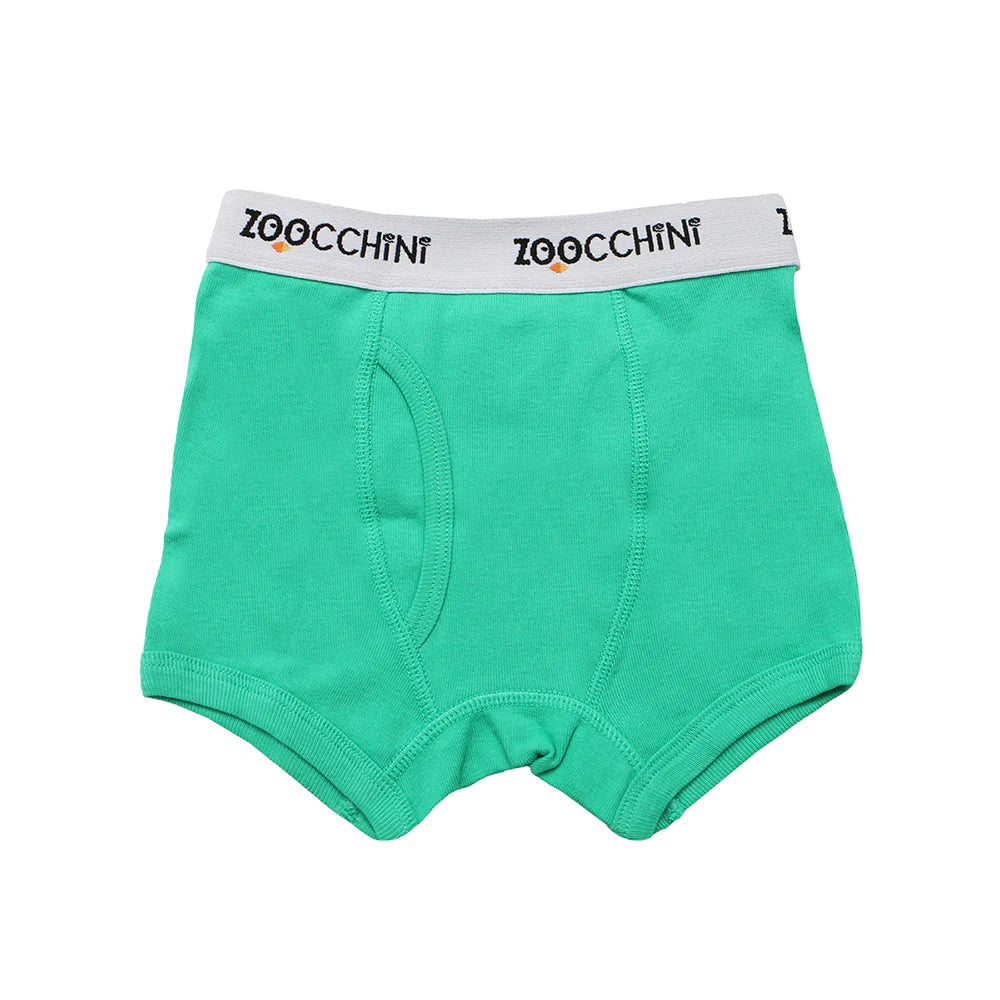 Zoocchini boys organic boxer shorts Space Force green underwear with white branded waistband
