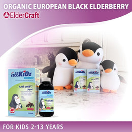 Allkidz Anti-Cold Elderberry Liquid Organic Elderberry Extract Eldercraft 100 ml