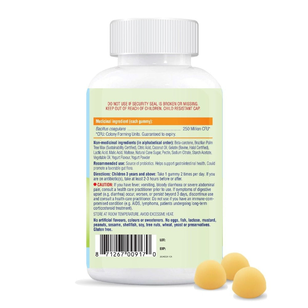Allkidz Probiotic Gummies bottle, 80s, yellow fruit-flavored chewables for kids
