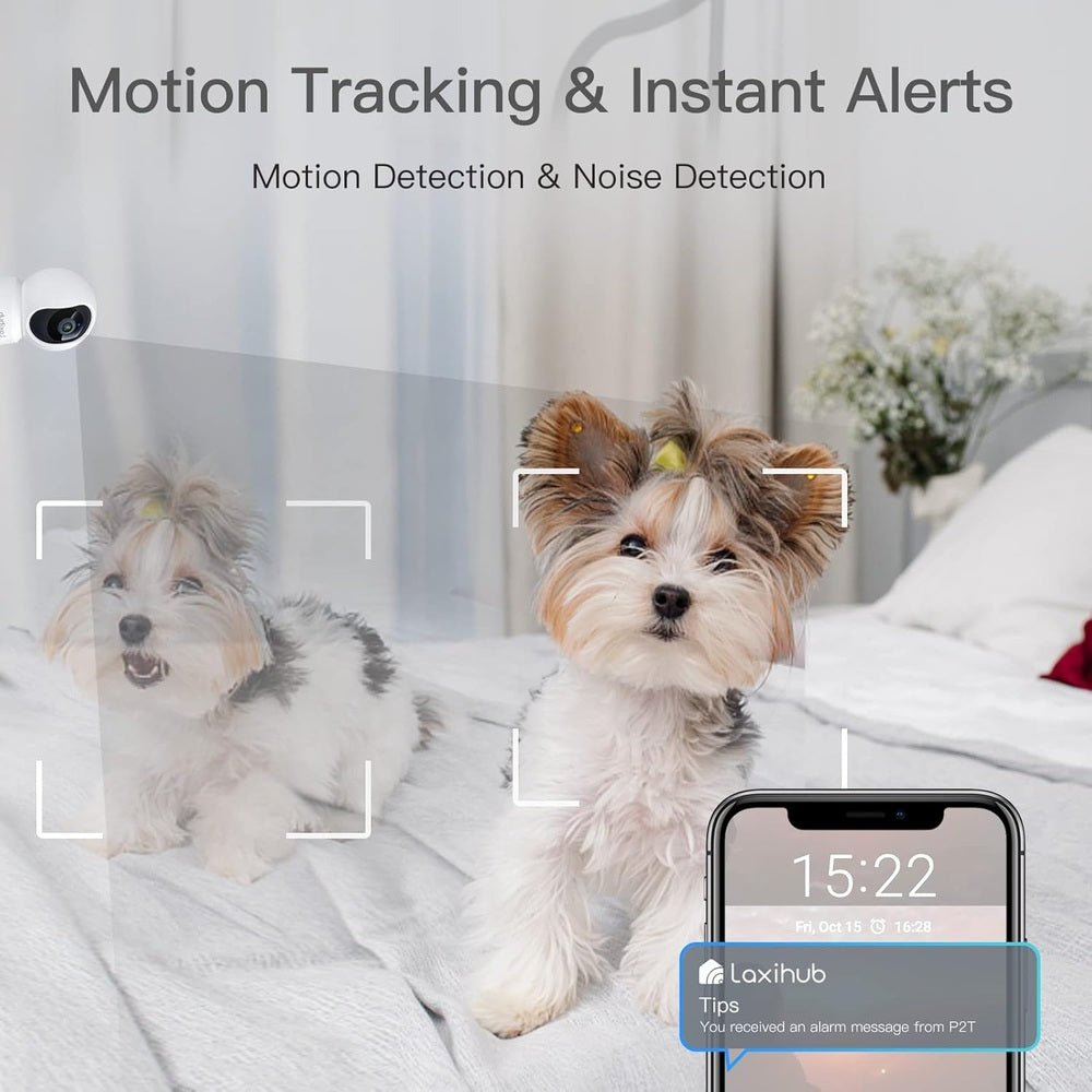 Arenti indoor security camera; 3K/5MP, motion tracking and instant alerts, with two dogs in view