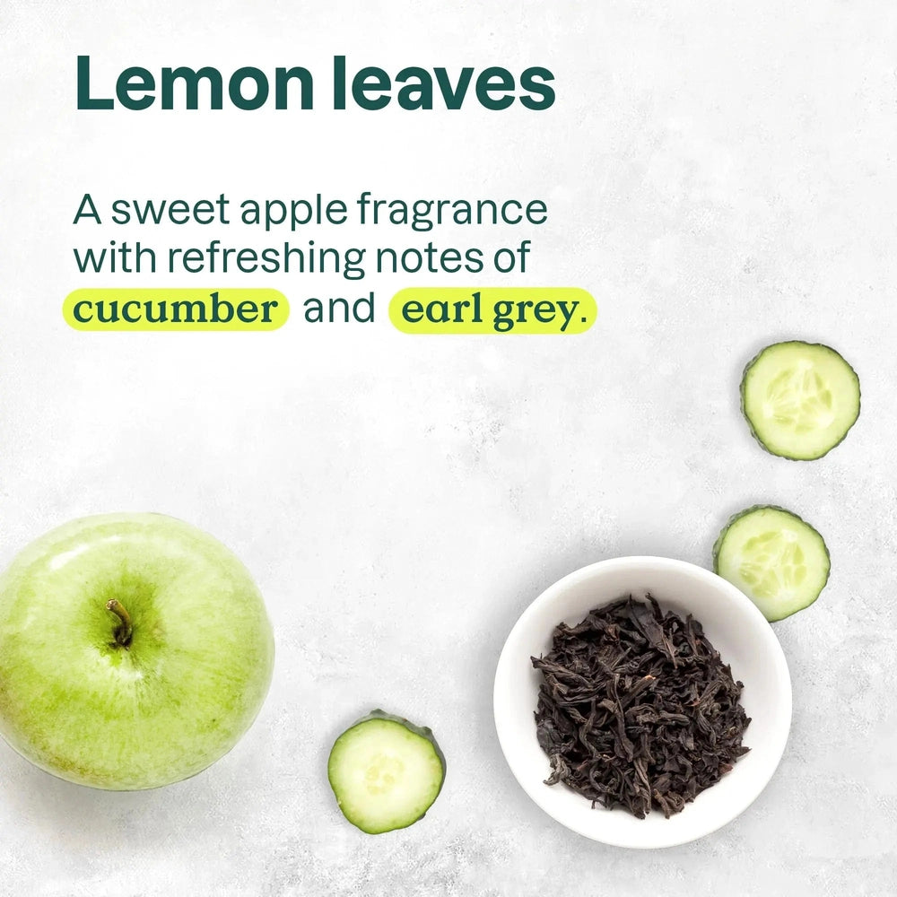 ATTITUDE Super Leaves natural liquid hand soap 473 ml with cucumber and Earl Grey scent, shown with cucumber slices.