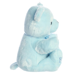 Aurora Ebba Comfy Baby Boy Bear 10"