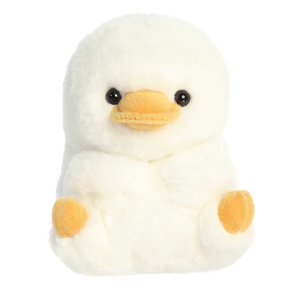Aurora Rolly Pet Delight Duck 5 Image 1
