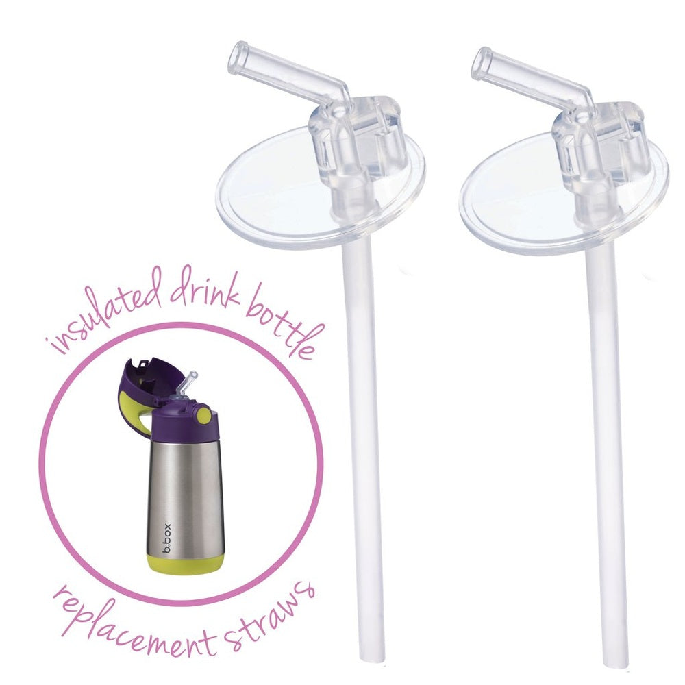 B.BOX insulated drink bottle replacement straw 2-pack, clear removable straws for bottles