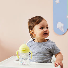 B.Box Sippy Straw Cup 240ml