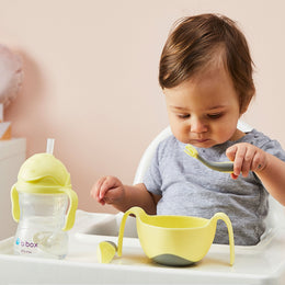 B.Box Sippy Straw Cup 240ml