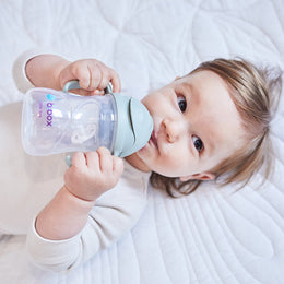 B.Box Sippy Straw Cup 240ml