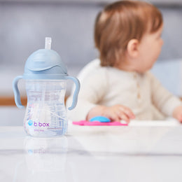 B.Box Sippy Straw Cup 240ml