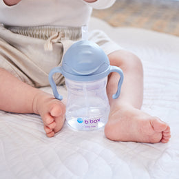B.Box Sippy Straw Cup 240ml