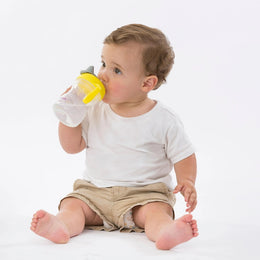 B.Box Spout Cup