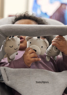 BabyBjörn Soft Friends Bouncer Toy