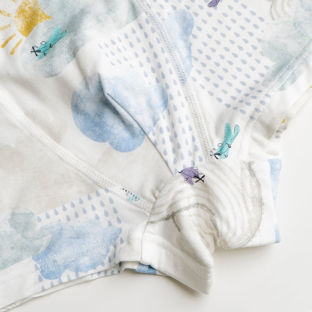 NEST DESIGNS Nest Designs Bamboo Boys Boxer Briefs Underwear 2 Pack Puppy Park/Fluffy Puffs weather prints with clouds and img 4/5