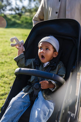 Bugaboo Kangaroo Seat Complete Stroller