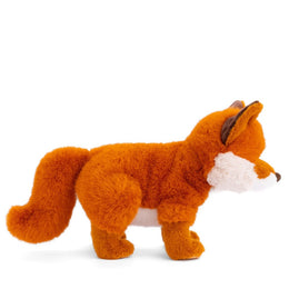 Bukowski Bears Sweet Clever Fox