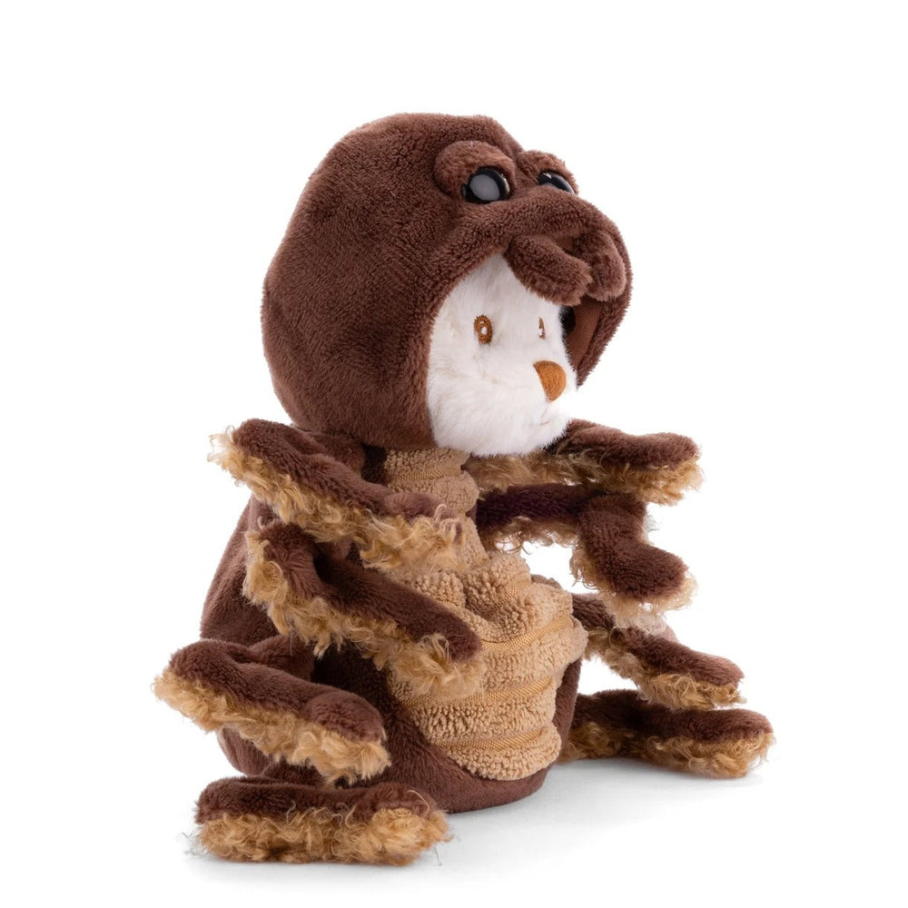Bukowski Bears Ziggy Spider stuffed animal with brown plush body and cream face, sitting upright with eight fuzzy legs visible.