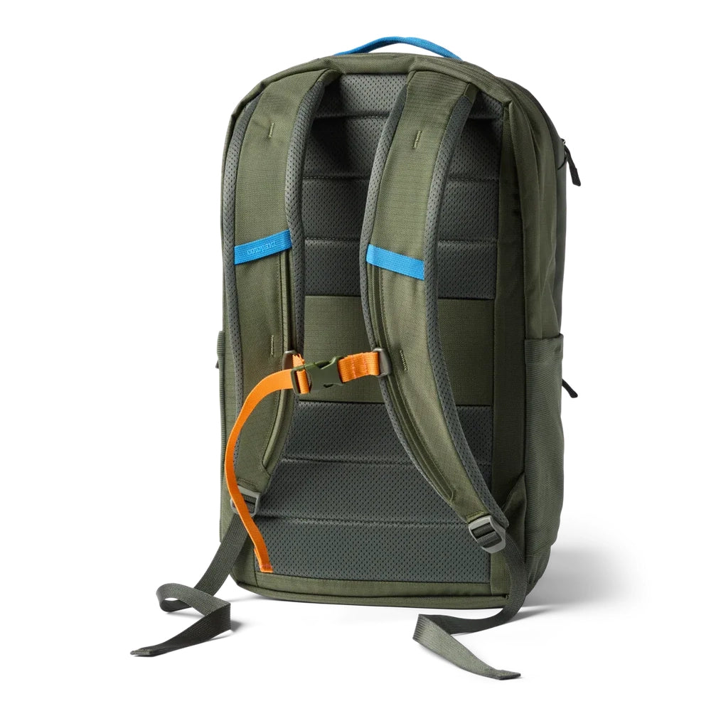 Cotopaxi Allpa 26L Daypack in Olive Green with padded back, blue shoulder straps, and orange sternum strap (rear view)