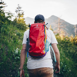 Cotopaxi Batac 16L Backpack - Del Dia
