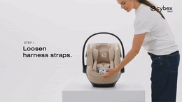 Cybex Platinum Priam 5 Luxury Stroller + Cloud G Pro Recline Infant Car Seat Bundle