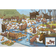 DC Canada Hide & Seek: Wild Animal Groups in North America