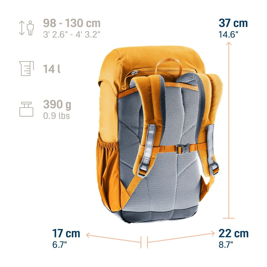 Deuter Waldfuchs 14 Kids' Hiking Backpack in Amber Maple — dimension diagram with rear carrying-system view