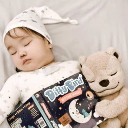 Ditty Bird Sound Book Bedtime Songs USB-C Rechargeable