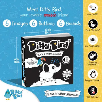 Ditty Bird Sound Book Black and White Animals with six buttons and sounds, USB-C rechargeable on a bright blue promo background.