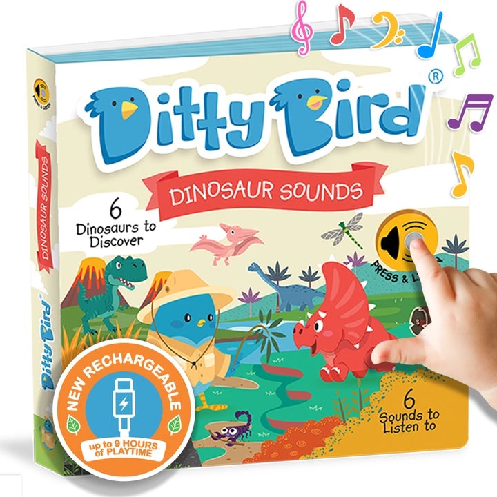 Ditty Bird Dinosaur Sounds USB-C rechargeable educational toy; a child presses the orange button to hear six dinosaur sounds.