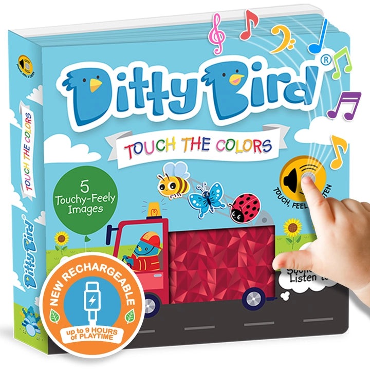 Ditty Bird Sound Book Touch the Colors USB-C Rechargeable; blue box with a hand touching the color-coded surface to trigger sounds.