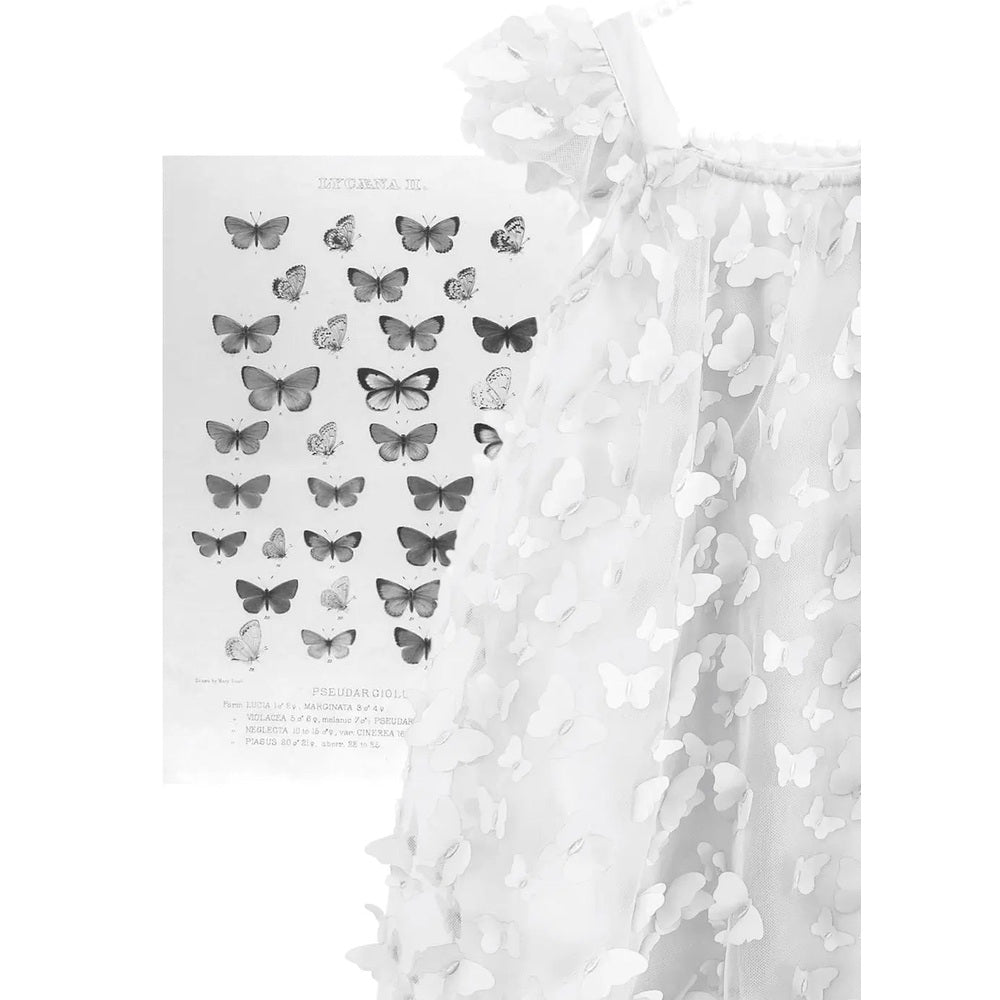 Dolly by Le Petit Tom Allover Butterflies Tutu Dress White with butterfly appliques on sheer layers.