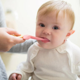 Dr. Brown's Toddler Toothbrush 1-Pack