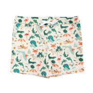 Emerson And Friends Explore Florida Boys Swim Trunks Beige/Multi