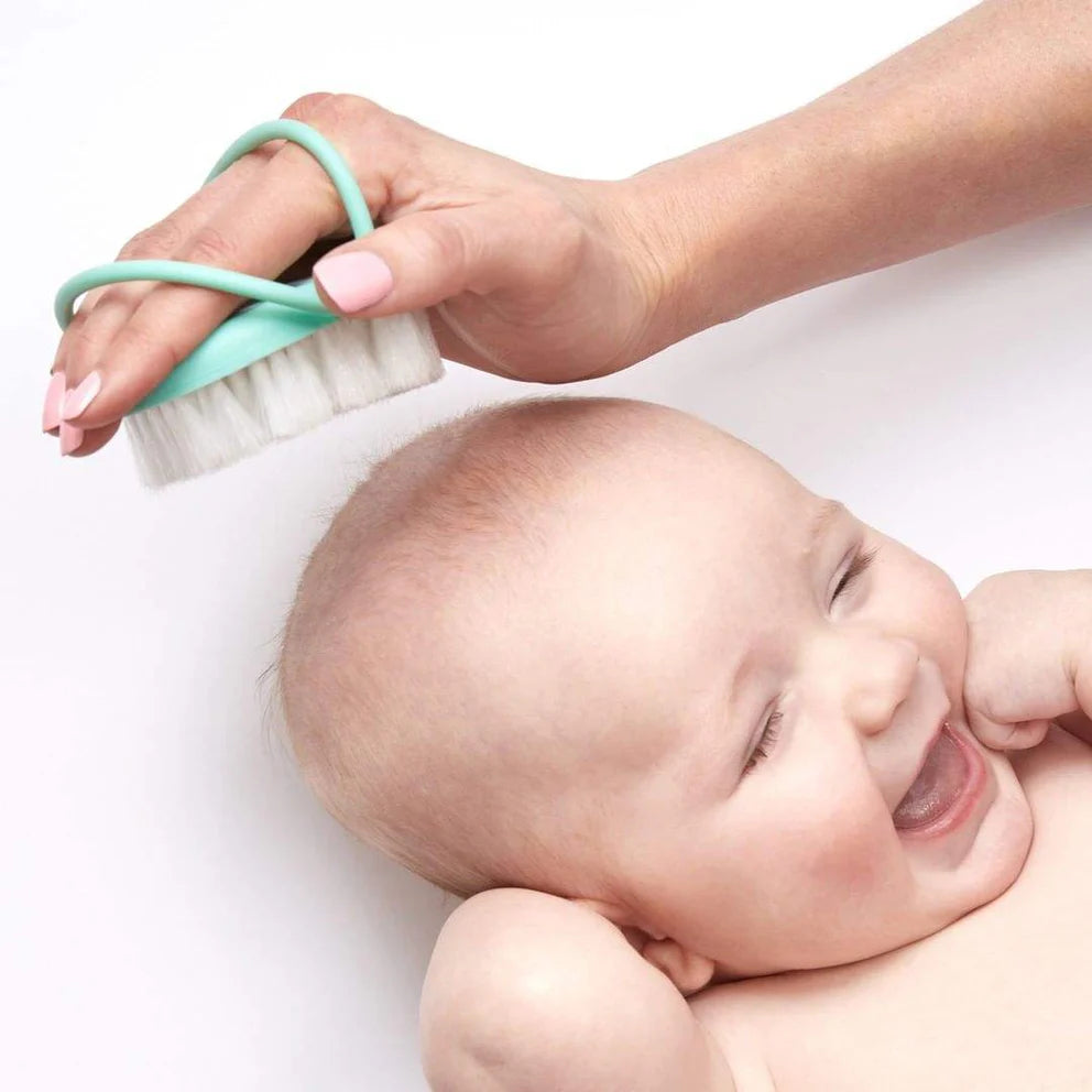 Frida Baby head-hugging hairbrush and styling comb set, teal handle, white bristles