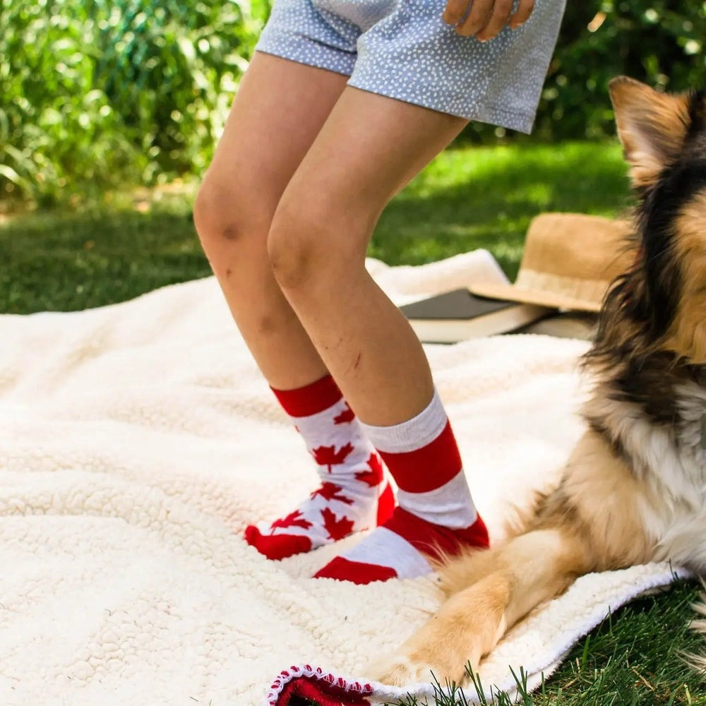 Friday Sock Co. Kid's Grey & Red Maple Leaf Socks; child hops on a cream blanket outdoors with a fluffy dog nearby.