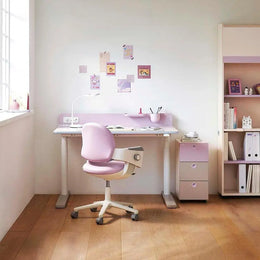 Iloom Linki Plus Motion Desk