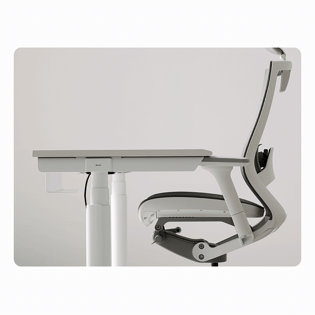 Iloom Newt Motion Desk 1200W - obstacle detection and rollback demonstration