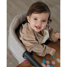 Inglesina Fast Table Chair Melange Portable Hook-On High Chair