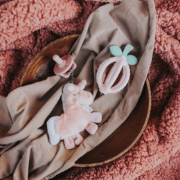 Itzy Ritzy Bitzy Biter Lemon Ball Teether