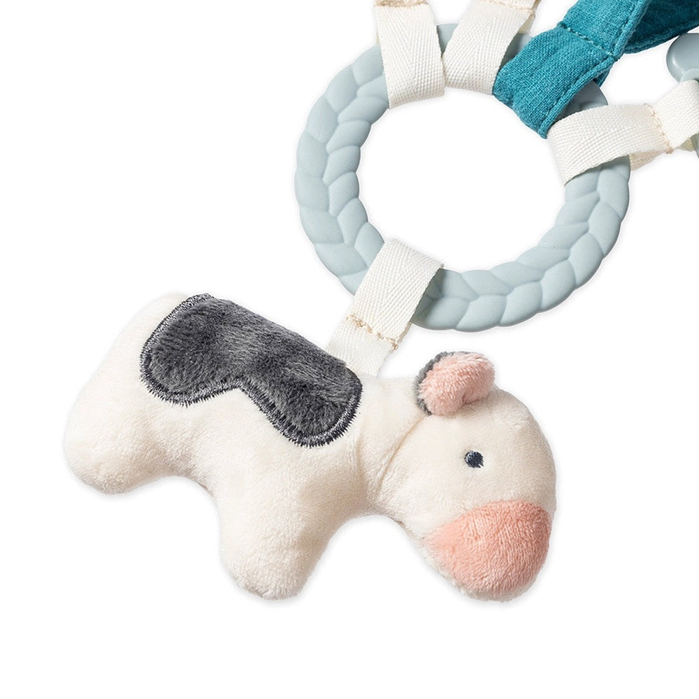 Itzy Ritzy Bitzy Busy Gift Set plush dog toy with light blue braided ring