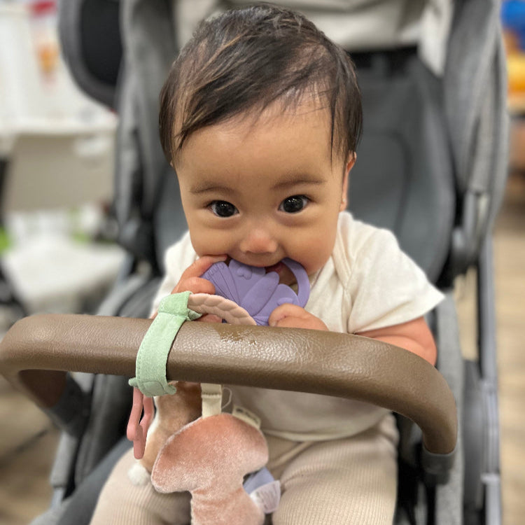 ITZY RITZY Itzy Ritzy Bitzy Busy Ring Teething Activity Toy with fabric loop strap and multiple pastel plush attachments img 5/27