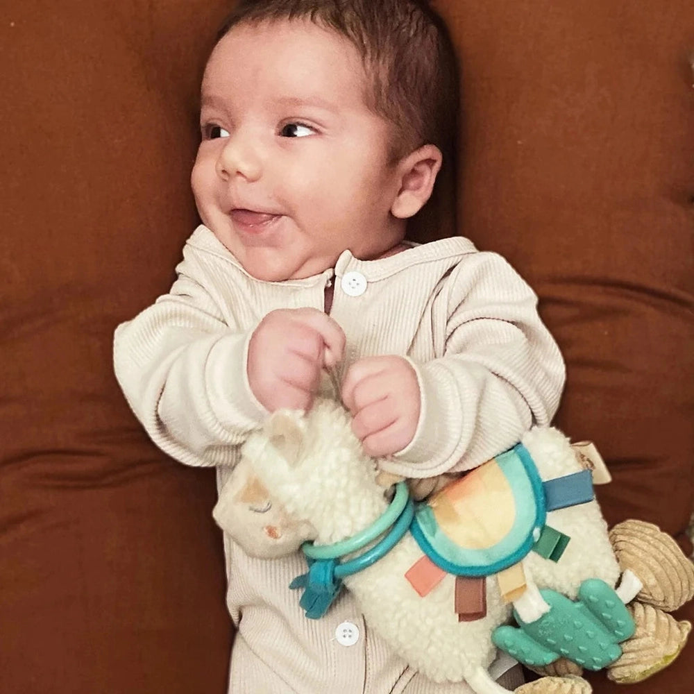 Itzy Ritzy Itzy Friends Link & Love Activity Plush baby toy with colorful teething rings