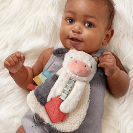 Itzy Ritzy Itzy Lovey Plush And Teether Toy