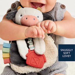 Itzy Ritzy Itzy Lovey Plush And Teether Toy