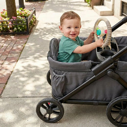Itzy Ritzy Steering Wheel Bitzy Driver
