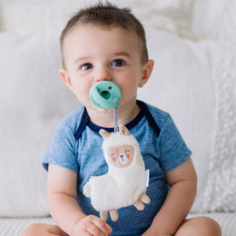 Itzy Ritzy Sweetie Pal Pacifier & Stuffed Anima