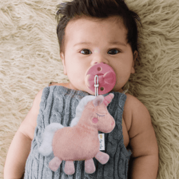 Itzy Ritzy Sweetie Pal Pacifier & Stuffed Anima