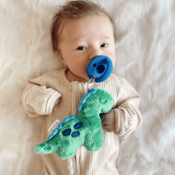 Itzy Ritzy Sweetie Pal pacifier and plush green dinosaur toy with blue pacifier
