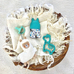 Itzy Ritzy Sweetie Pal Pacifier & Stuffed Anima