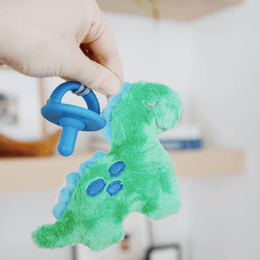 Itzy Ritzy Sweetie Pal Pacifier & Stuffed Anima