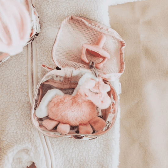 Itzy Ritzy Sweetie Pal pacifier with pink plush stuffed animal, attached to a small pouch